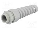 Cable gland; with strain relief; M25; 1.5; IP68; polyamide; grey HELUKABEL