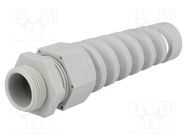 Cable gland; with strain relief; M25; 1.5; IP68; polyamide; grey HELUKABEL