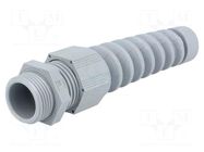 Cable gland; with strain relief; PG13,5; IP68; polyamide 6 HELUKABEL