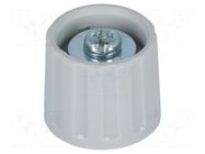 Knob; polyamide; Øshaft: 6mm; Ø21x17.5mm; grey; Shaft: smooth RITEL