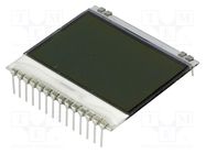 Display: LCD; graphical; 102x64; FSTN Positive; white; 39x38.1mm DISPLAY VISIONS