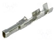 Contact; female; tinned; 24AWG÷22AWG; cut from reel; crimped; SL MOLEX