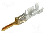 Contact; male; gold-plated; 0.25÷0.5mm2; 24AWG÷20AWG; crimped MOLEX