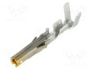 Contact; female; gold-plated; 24AWG÷18AWG; Mini-Fit Jr; crimped MOLEX