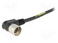 Connector: M23; plug; PIN: 19(3+16); female; cables; angled 90°; 6A MOLEX