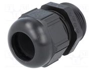 Cable gland; PG21; IP68; polyamide; black; UL94V-2; SKINTOP® 