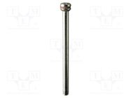 Mandrel; 3mm; Tip: screw PG MINI