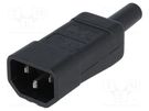 Connector: AC supply; plug; male; 10A; IEC 60320; C14 (E); straight KAISER
