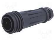 Connector: circular; plug; male; PIN: 2; Buccaneer 900; for cable BULGIN