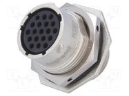 Connector: circular; socket,plug; PIN: 19; female; w/o contacts AMPHENOL