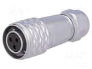 Connector: circular; plug; female; PIN: 3; IP67; SF12; 4÷6.5mm; 13A WEIPU