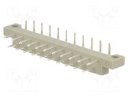 Connector: DIN 41617; plug; male; PIN: 21; angled 90°; 4A; 250V; THT CONEC