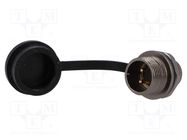 Socket; ST12; male; PIN: 2; IP67; 13A; soldering; 250V; 2mm2; -25÷85°C 