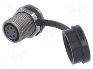 Socket; ST12; female; PIN: 6; IP67; 5A; soldering; 125V; 0.75mm2 WEIPU