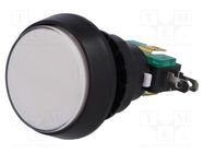 Switch: push-button; Pos: 2; SPDT; 10A/250VAC; ON-(ON); Illumin: LED HIGHLY ELECTRIC