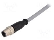 Connector: M12; plug; male; PIN: 12; straight; cables; 2m HARTING