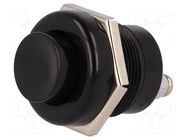 Switch: push-button; Pos: 2; SPST-NO; 10A/12VDC; OFF-(ON); IP40 SCI