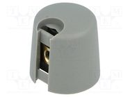 Knob; with pointer; plastic; Øshaft: 6mm; Ø16x16mm; grey; A10 OKW