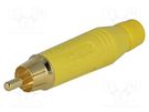Plug; RCA; male; straight; soldering; yellow; gold-plated; 3÷7mm AMPHENOL