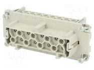 Connector: HDC; contact insert; female; 19A; 400V; PIN: 16; 16+PE AMPHENOL