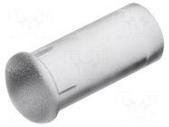 Fiber for LED; Ø3mm; L: 6.4mm; round; Front: convex; straight; PLP2 BIVAR