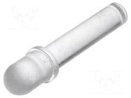 Fiber for LED; Ø5mm; L: 19mm; round; Front: convex; straight; PLP5 BIVAR