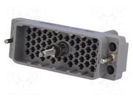 Connector: rectangular; 516; plug; hermaphrodite; PIN: 56; 2kV EDAC