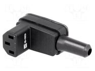 Connector: AC supply; plug; female; 10A; 250VAC; C13 (F); IEC 60320 SCHURTER