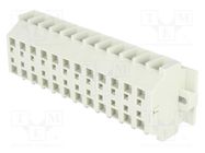 Terminal block; ways: 12; 0.5÷4mm2; spring clamp; 550V; 23A WAGO