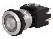 Switch: vandal resistant; Pos: 2; DPST-NO; 12A/250VAC; 0.5A/125VDC SCHURTER
