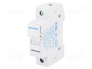 Fuse holder; 10.3x38mm; for DIN rail mounting; 30A; 600VAC; FSO SCHURTER