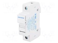 Fuse holder; 10.3x38mm; for DIN rail mounting; 30A; 600VAC; FSO SCHURTER