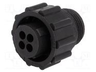 Connector: circular; plug; female; PIN: 4; w/o contacts; for cable TE Connectivity