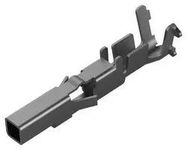 3793289-40.jpg