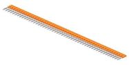 3794285-40.jpg
