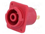 Connector: circular; 4.8mm connectors,soldering; female; 20A CLIFF