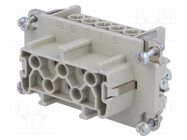 Connector: HDC; contact insert; female; C146,heavy|mate; PIN: 5 AMPHENOL