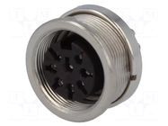 Connector: M16; socket; female; PIN: 8; 5A; 100V; C091A; soldering AMPHENOL