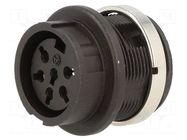 Connector: DIN; socket; female; C091B; PIN: 6; soldering; 300V; 5A AMPHENOL