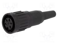 Plug; DIN; female; PIN: 5; Layout: 240°; straight; for cable; 300V; 5A AMPHENOL