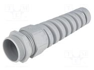 Cable gland; with strain relief; M32; 1.5; IP68; polyamide; grey LAPP