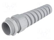 Cable gland; with strain relief; M32; 1.5; IP68; polyamide LAPP