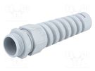 Cable gland; with strain relief; M25; 1.5; IP68; polyamide; grey LAPP