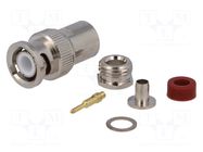 Connector: BNC; plug; male; straight; 50Ω; clamp,crimped; RG58; PTFE YIZN Jiangsu Tengyu Electronics co.