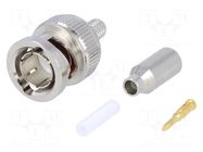 Connector: BNC; plug; male; straight; 93Ω; Ømax: 2.8mm; crimped NINIGI