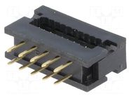 380374_1.jpg