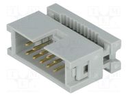 Connector: IDC; plug; male; PIN: 10; IDC; for ribbon cable; 1.27mm CONNFLY