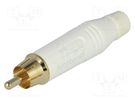 Plug; RCA; male; straight; soldering; white; gold-plated; for cable AMPHENOL