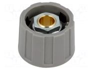 Knob; without pointer; ABS; Øshaft: 6mm; Ø23x15.5mm; grey; A2523 OKW