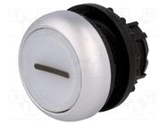 Switch: push-button; 22mm; Stabl.pos: 2; white; M22-FLED,M22-LED EATON ELECTRIC